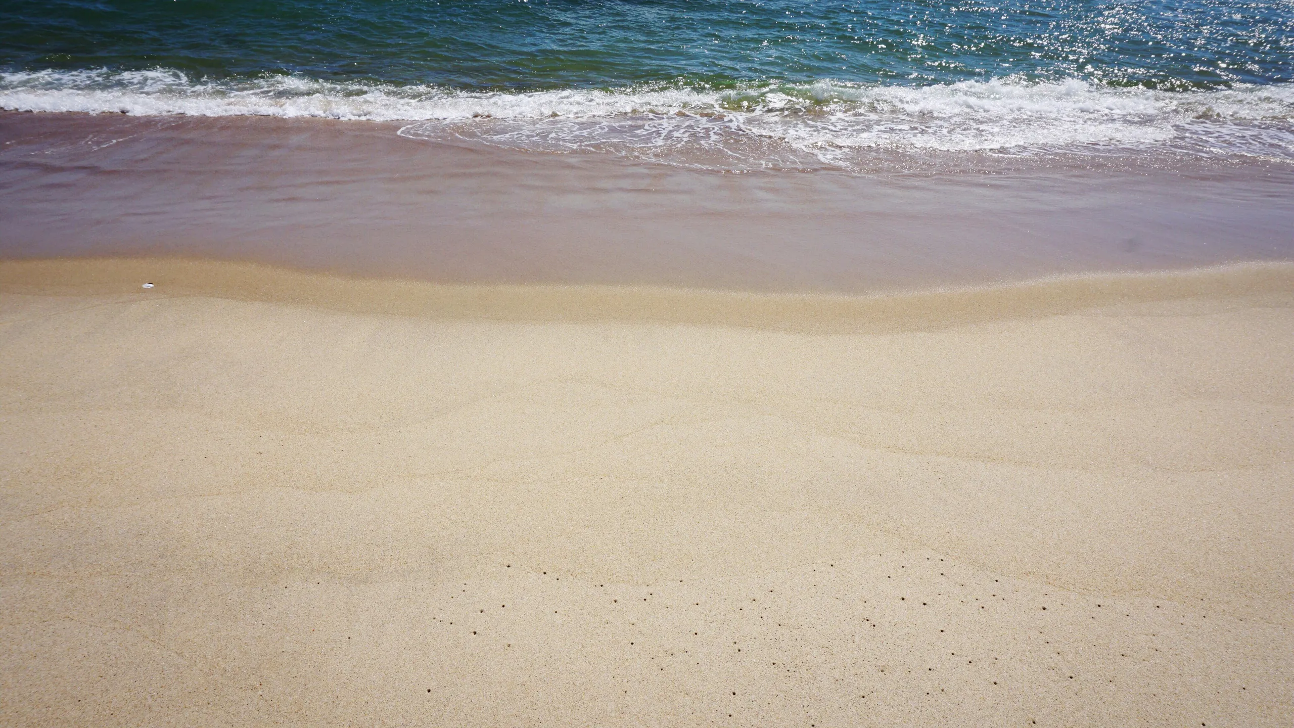 Run the Vineyards - Pindar Fall 5K and 8K 2025