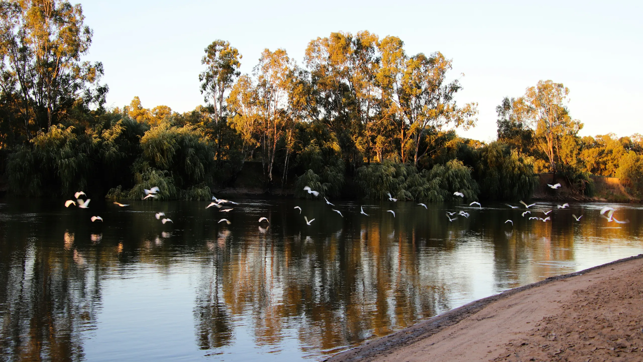 Wagga Race Series Race 2