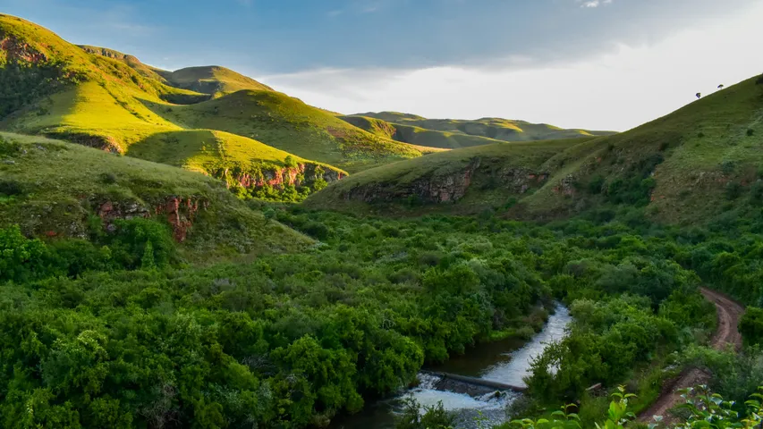 Standerton Goldi 4-in-1 Race