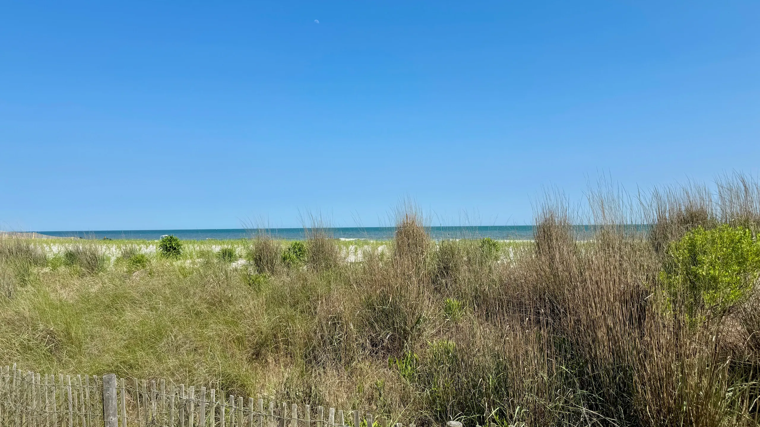 AmeriHealth Atlantic City Marathon, Half Marathon, 10K & G. Larry James 5K