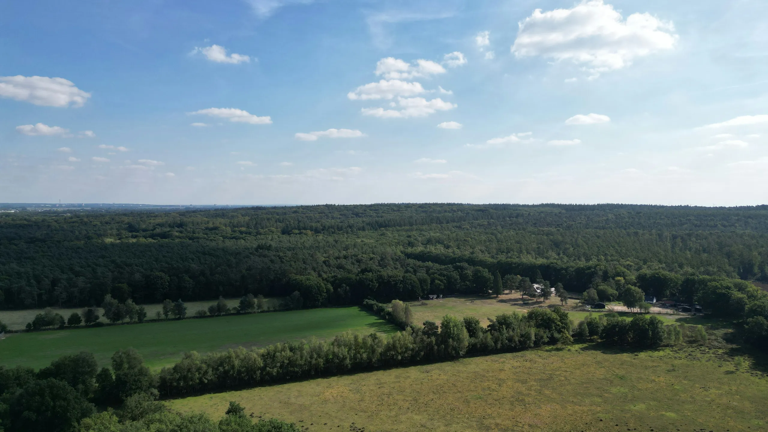 Leersumse Veld Trail
