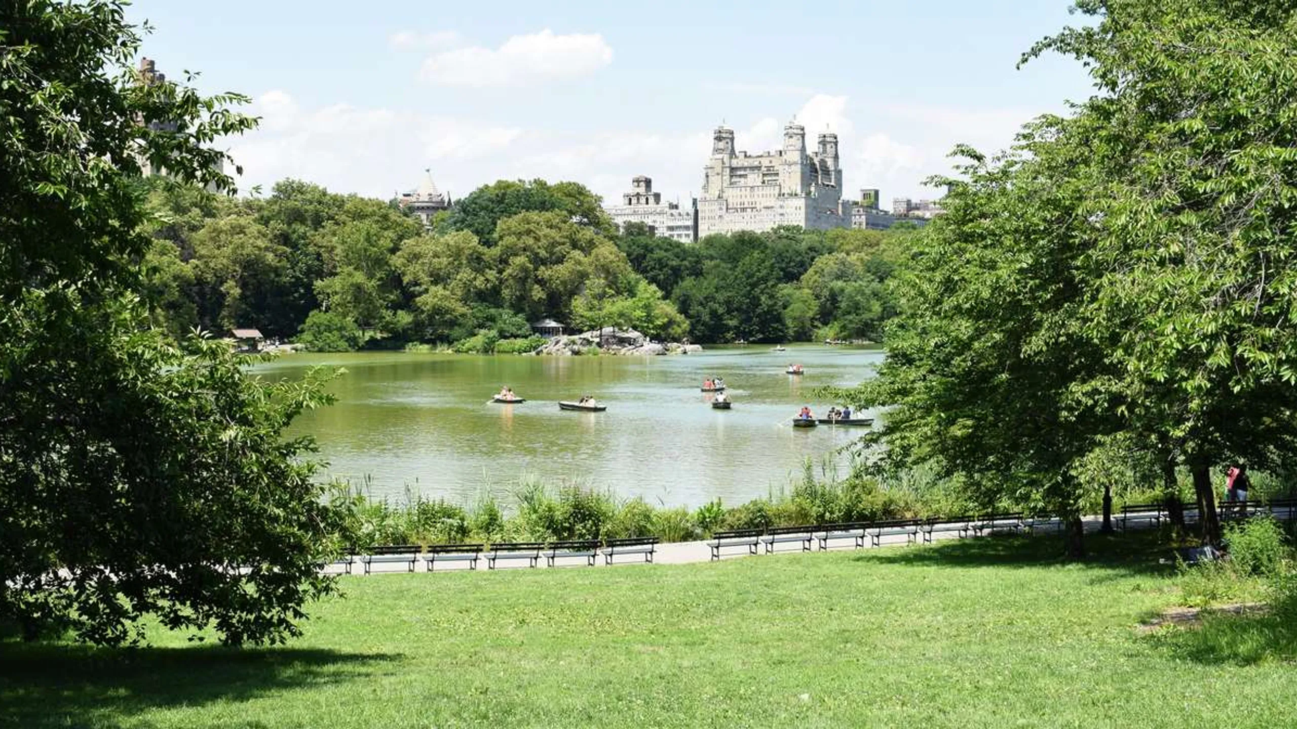 Regent's Park 5k & 10k August 2025