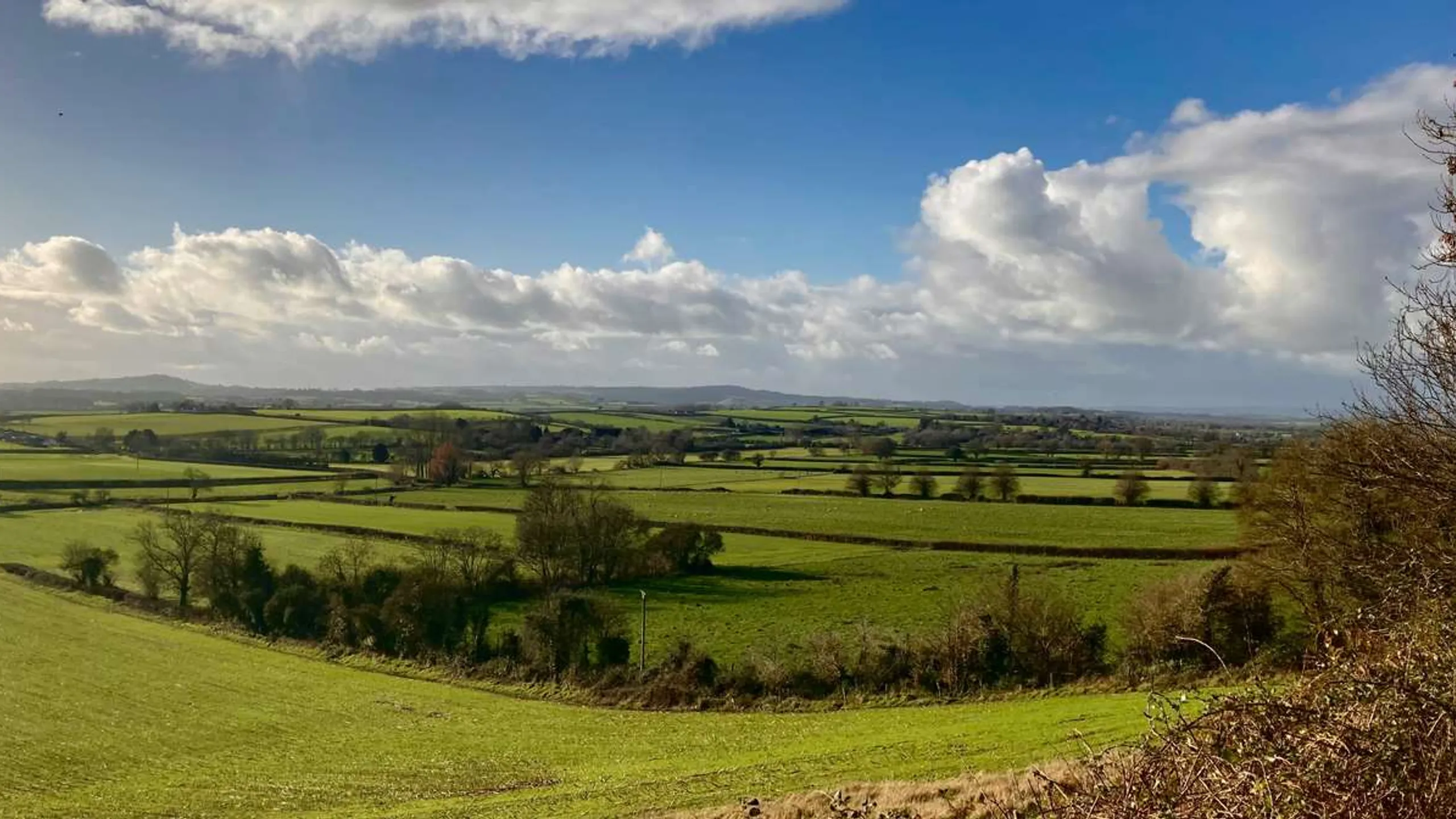 The Maverick Original Mendips