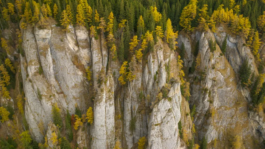 Bucovina Ultra Rocks by UTMB 2026