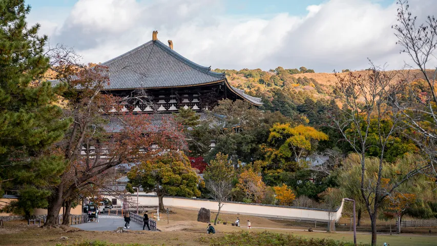 Nara Marathon 2025
