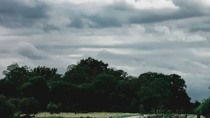 Richmond Park 5K, 10K and Half Marathon October