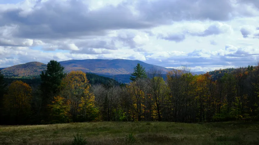 Vermont 50 Mountain Bike or Ultra Run 2025
