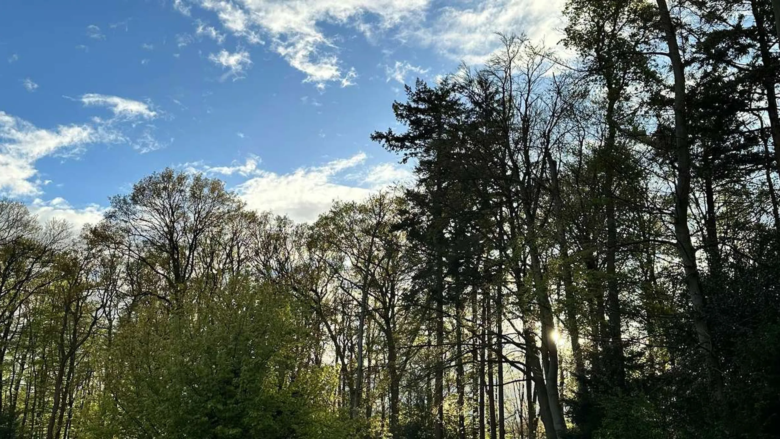 Enschede Marathon