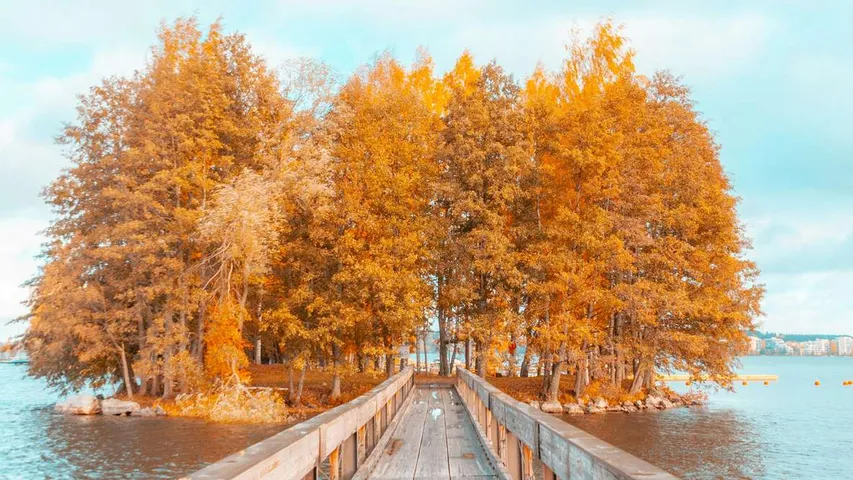 Lahti Juoksu