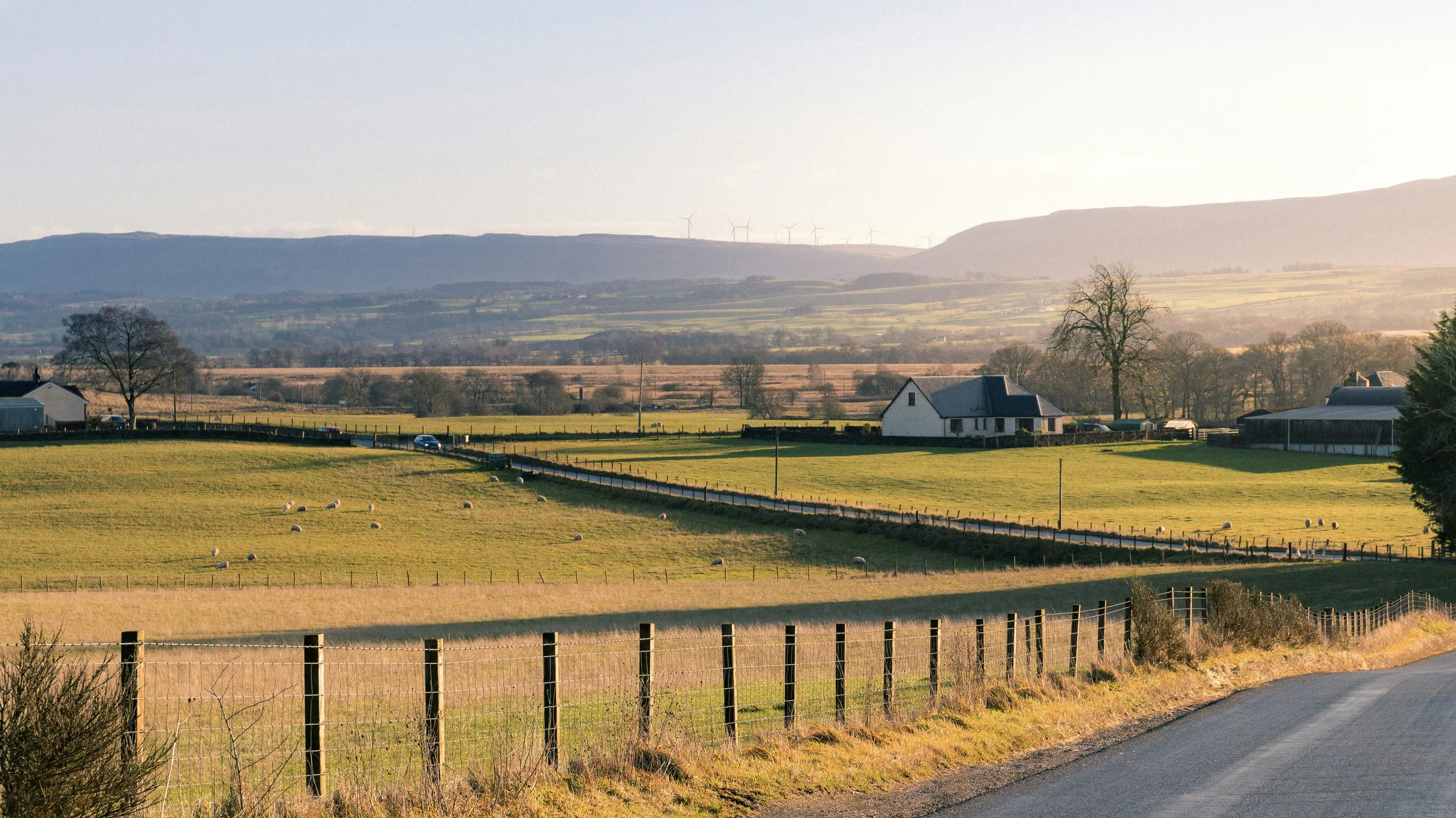 William Wallace Running Festival