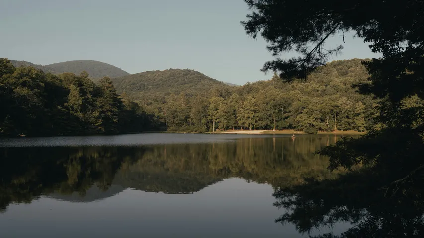 Berry Half Marathon / 10K / 5K presented by Business Water Solutions