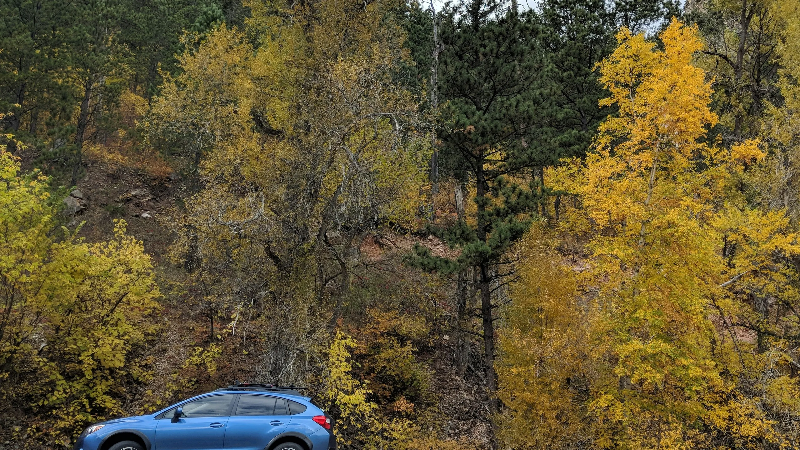 Spearfish Canyon Half Marathon & 5K Run/Walk