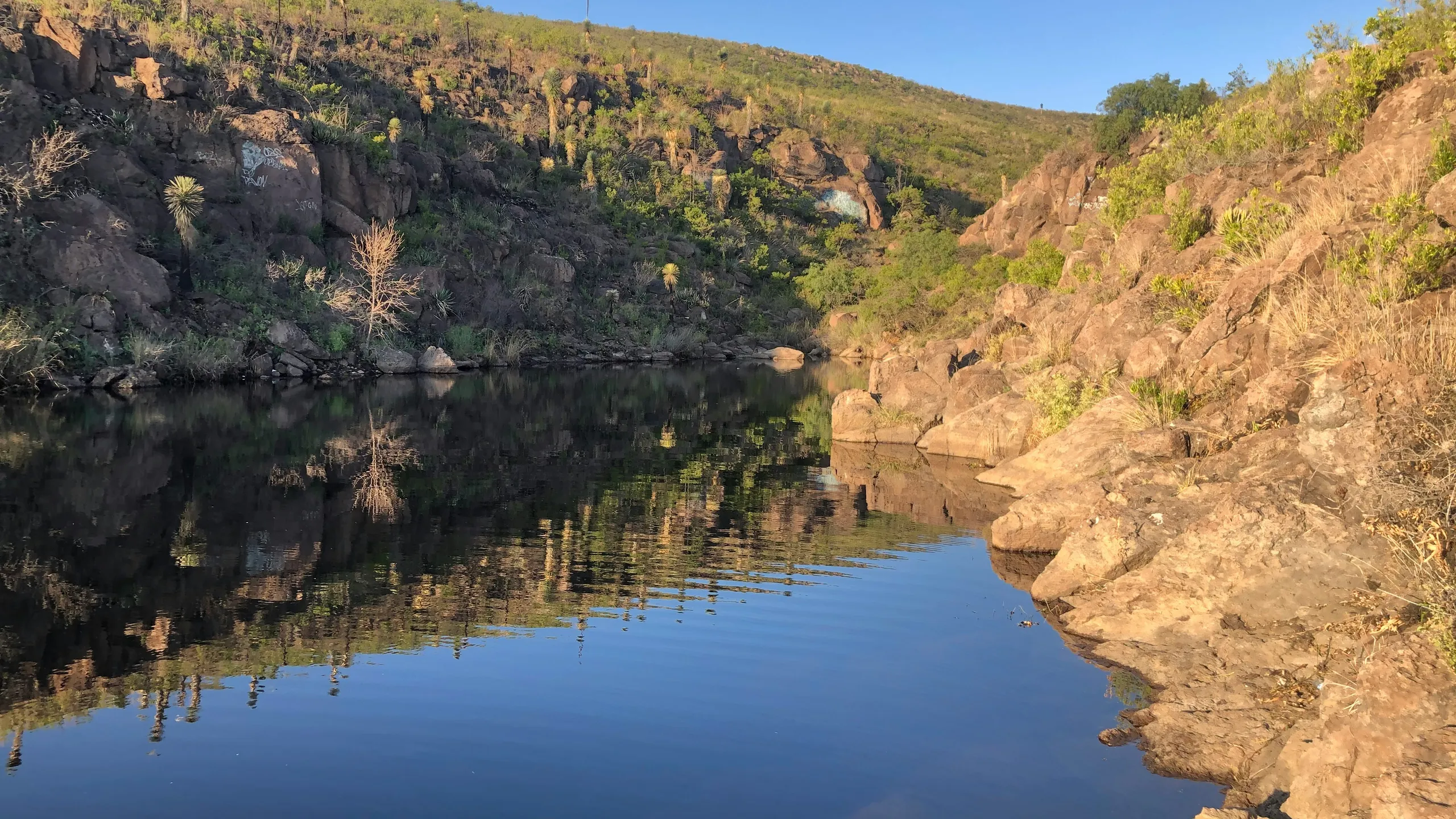 Medio Maratón la Capital del Deporte
