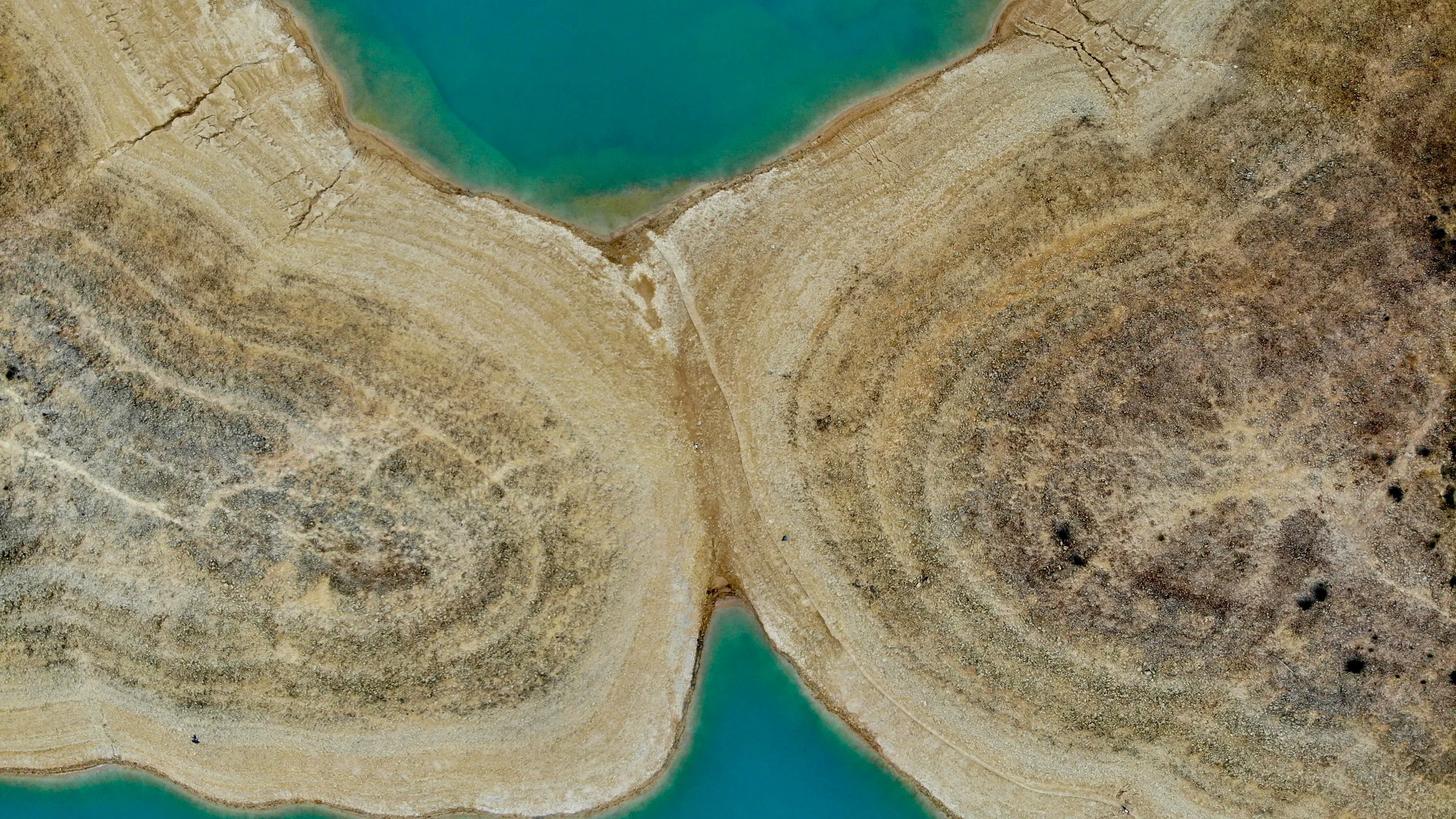 Hong Kong 100 Ultra Marathon