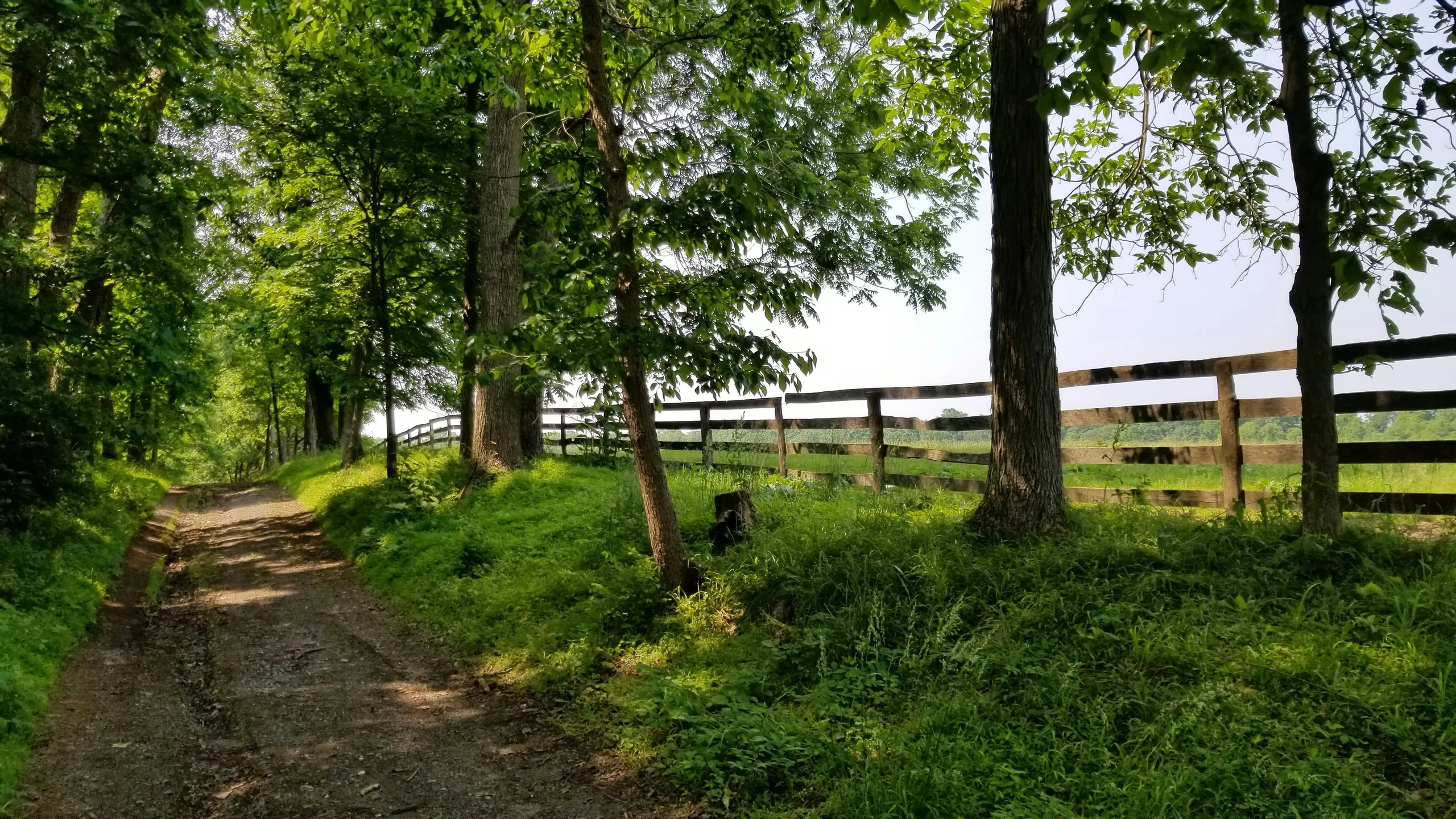 Veterans Trail Festival