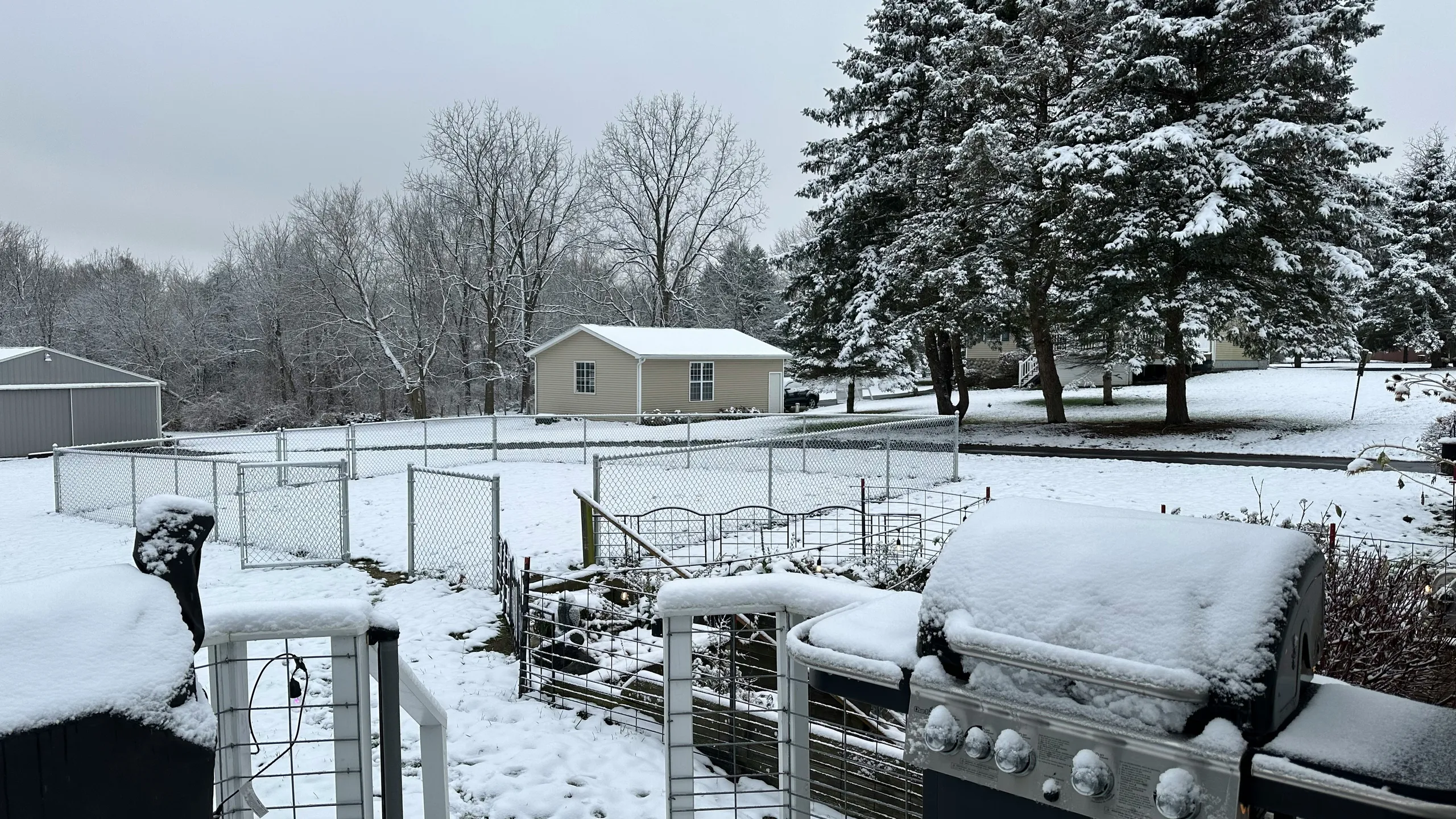 Pie Gobbler at Mount Hope Park