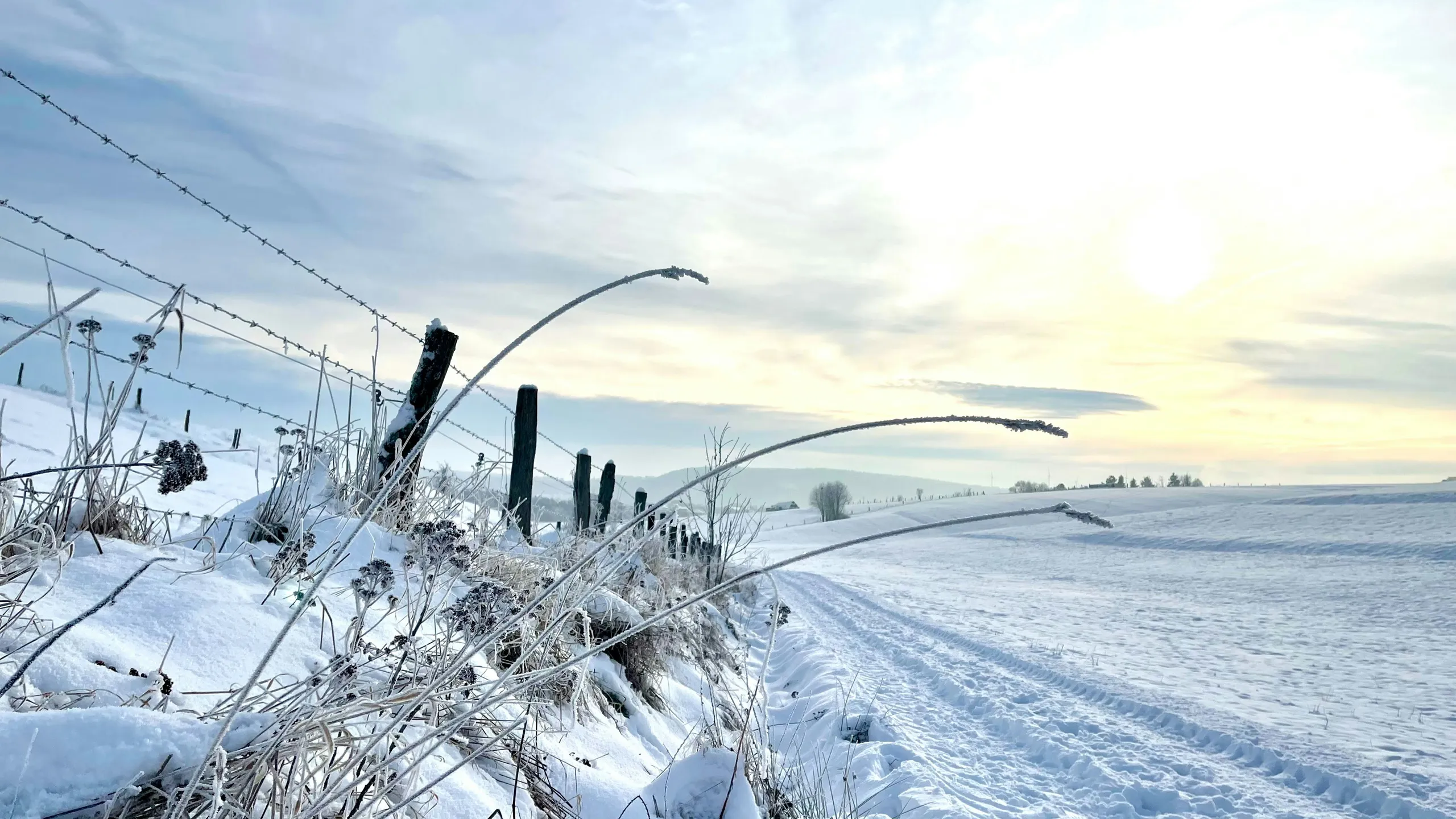 Burgwald Märchen Marathon Rauschenberg