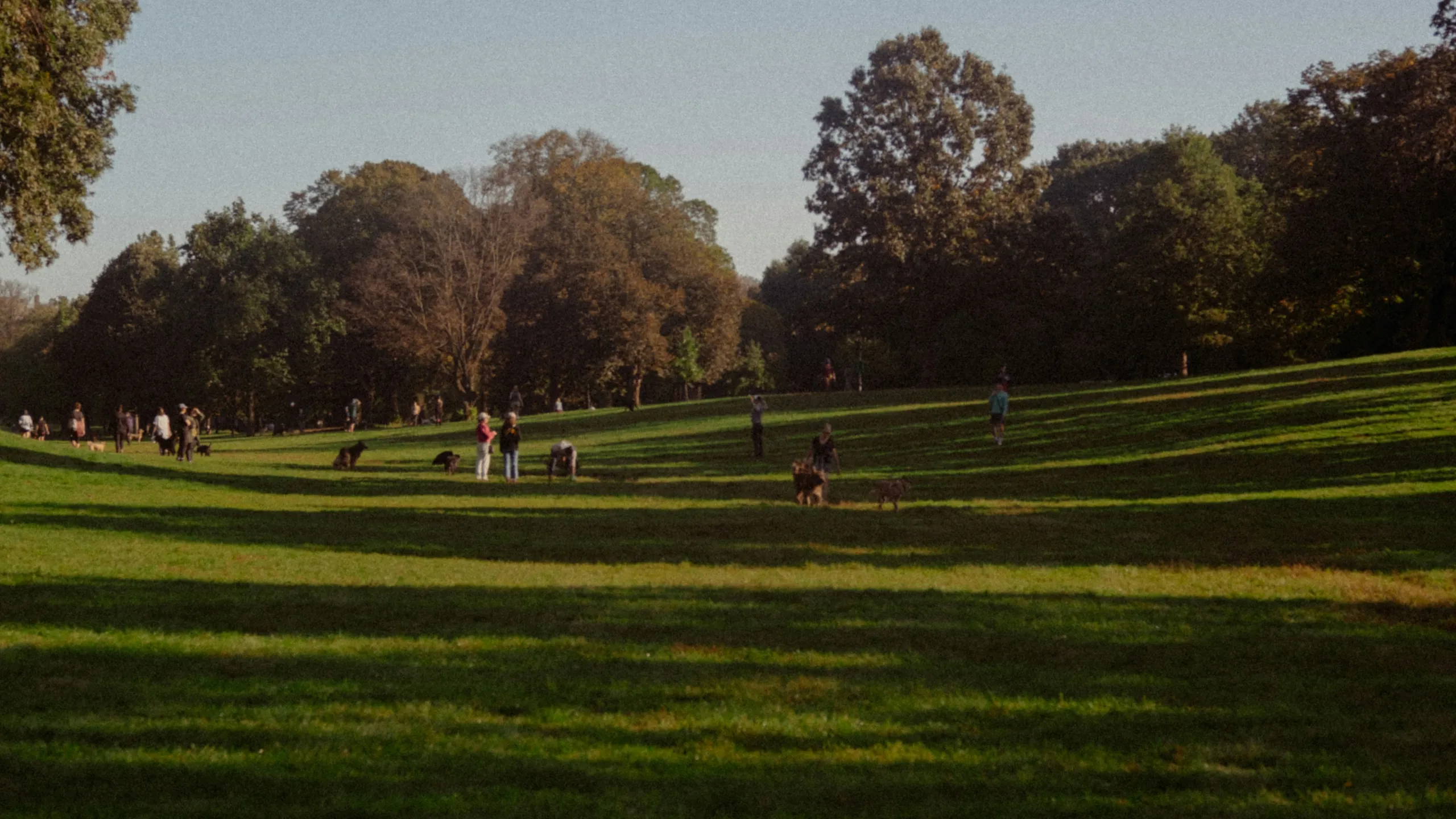 NYCRUNS Prospect Park 5K