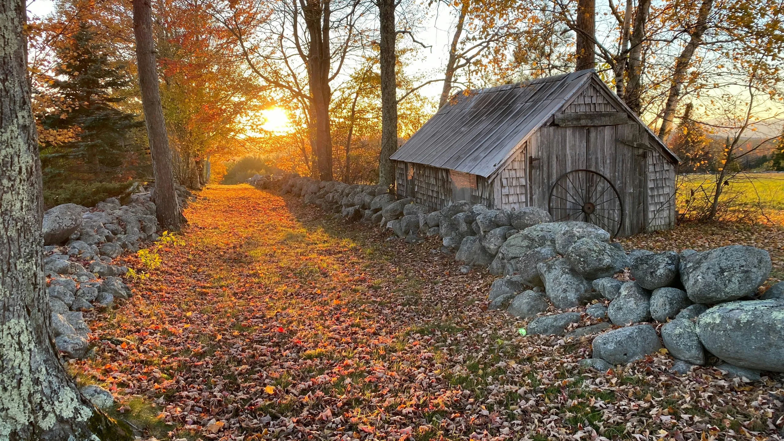 Pleasant Mountain Race