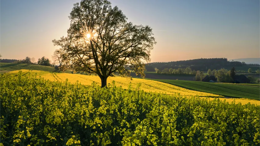 Frauenfelder Marathon