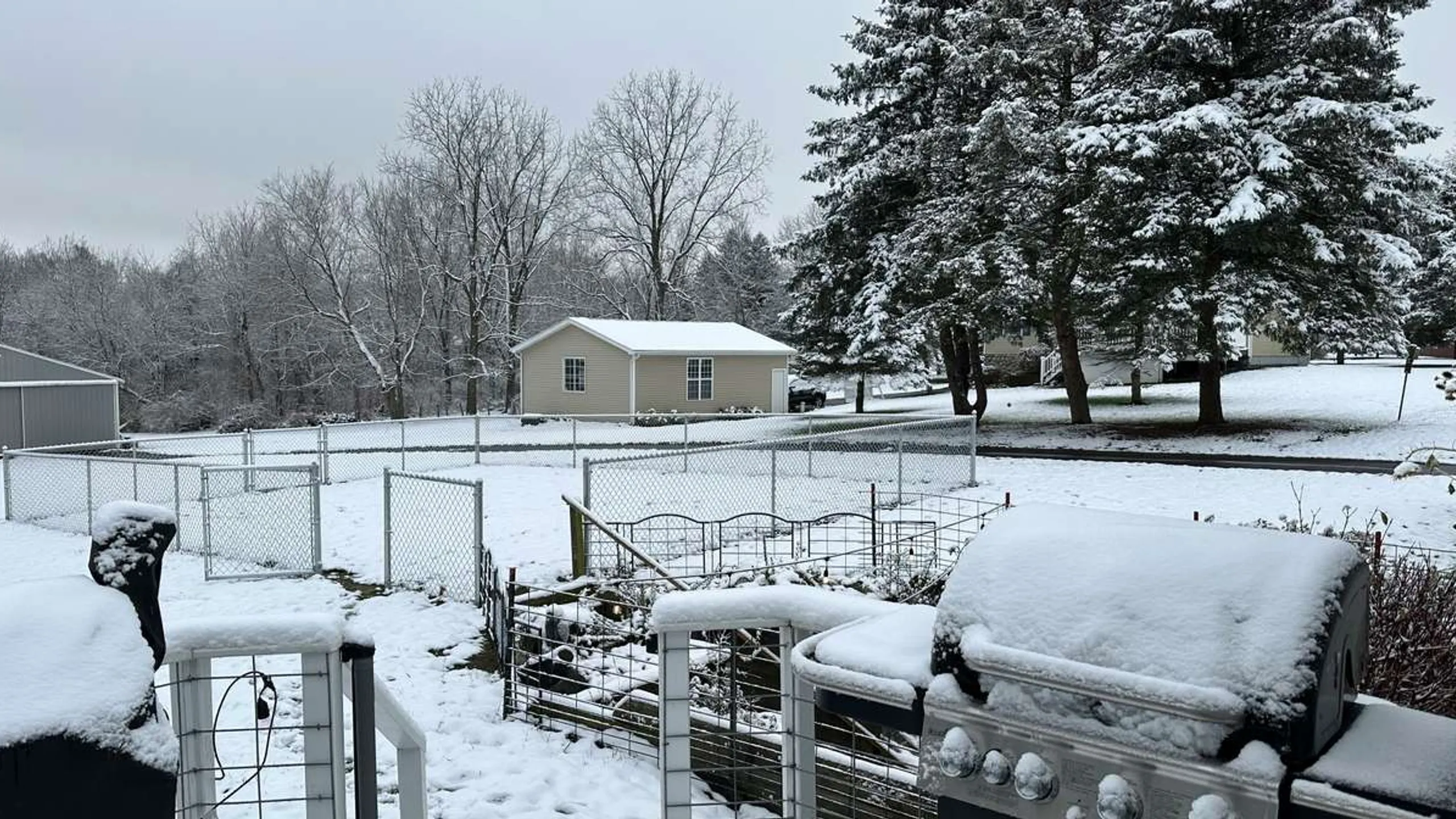 Pirate 1M, 5K, 10K, 15K & Half Marathon – Grand Ledge