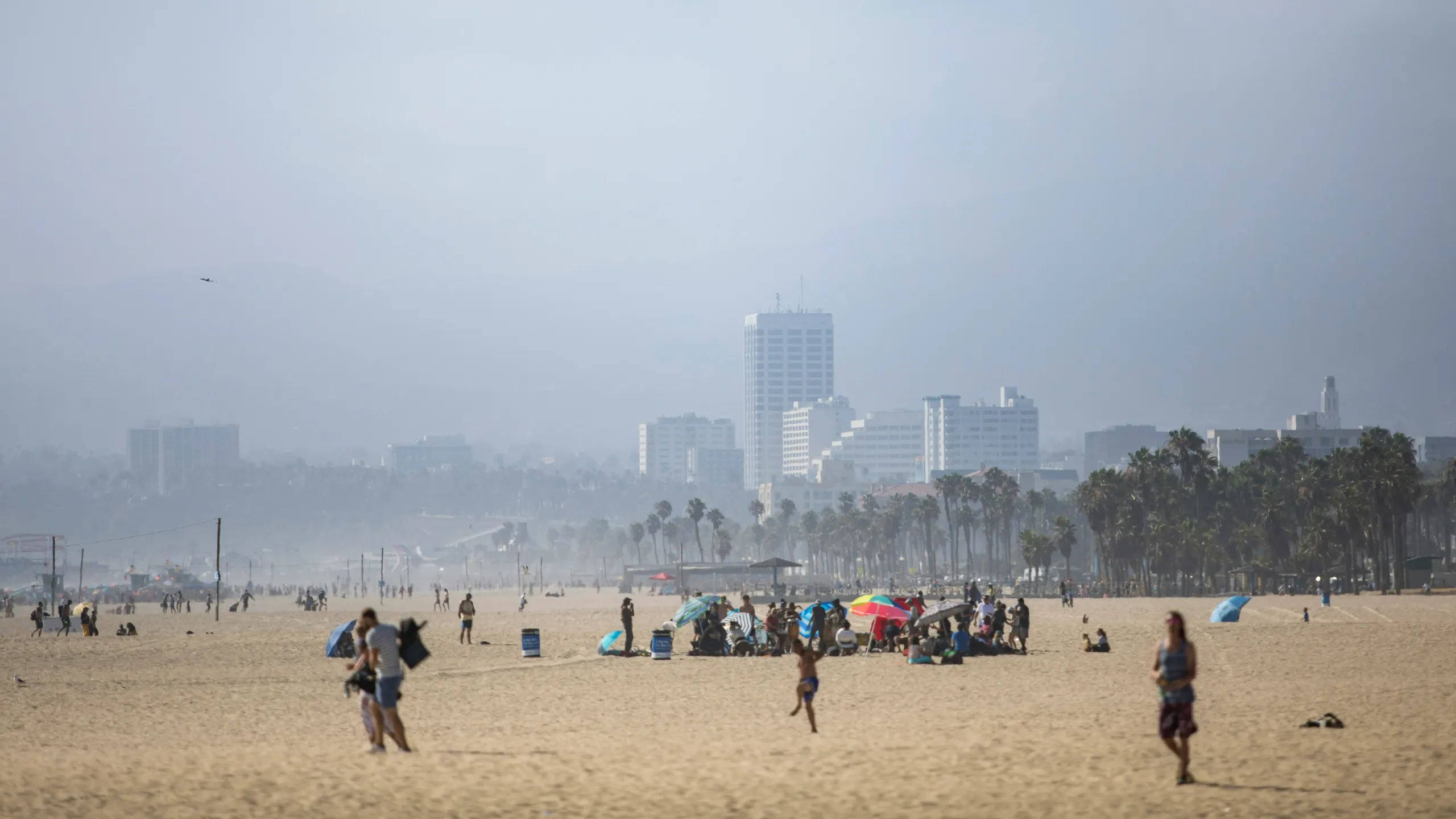 Wellen Park Half Marathon & 5K