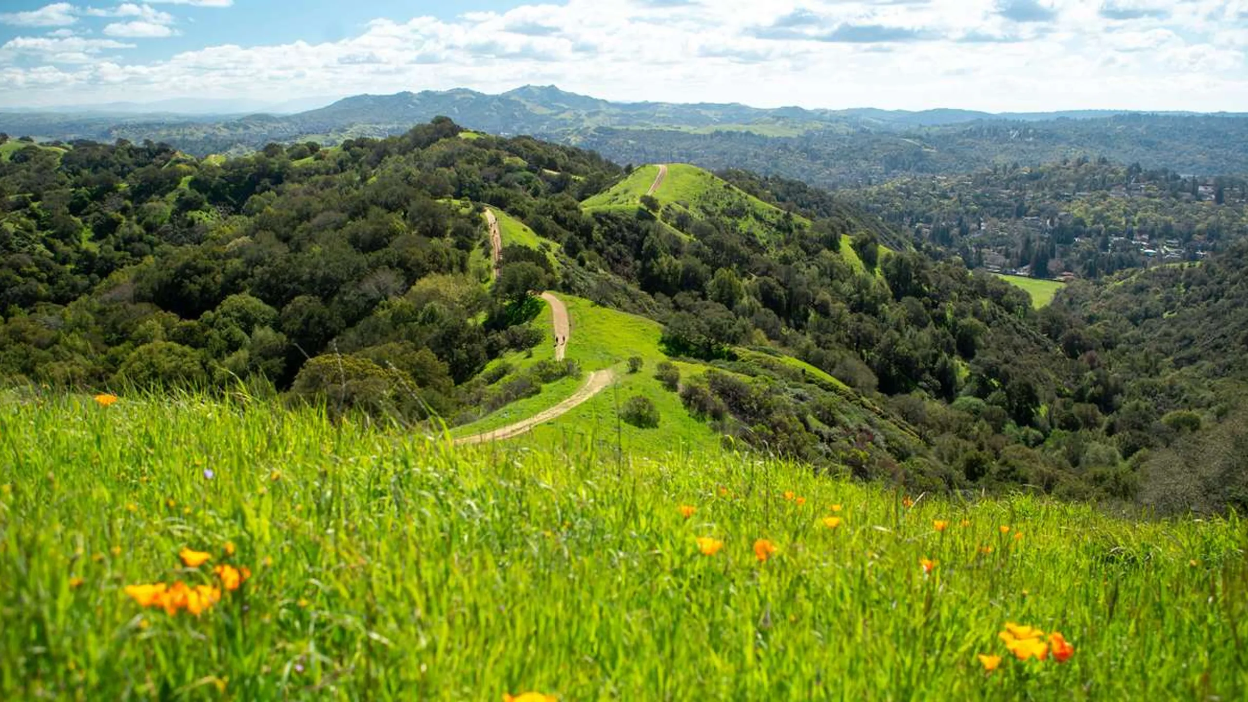 Armed Forces Half Marathon + First Responders Tobin Bolter 5K