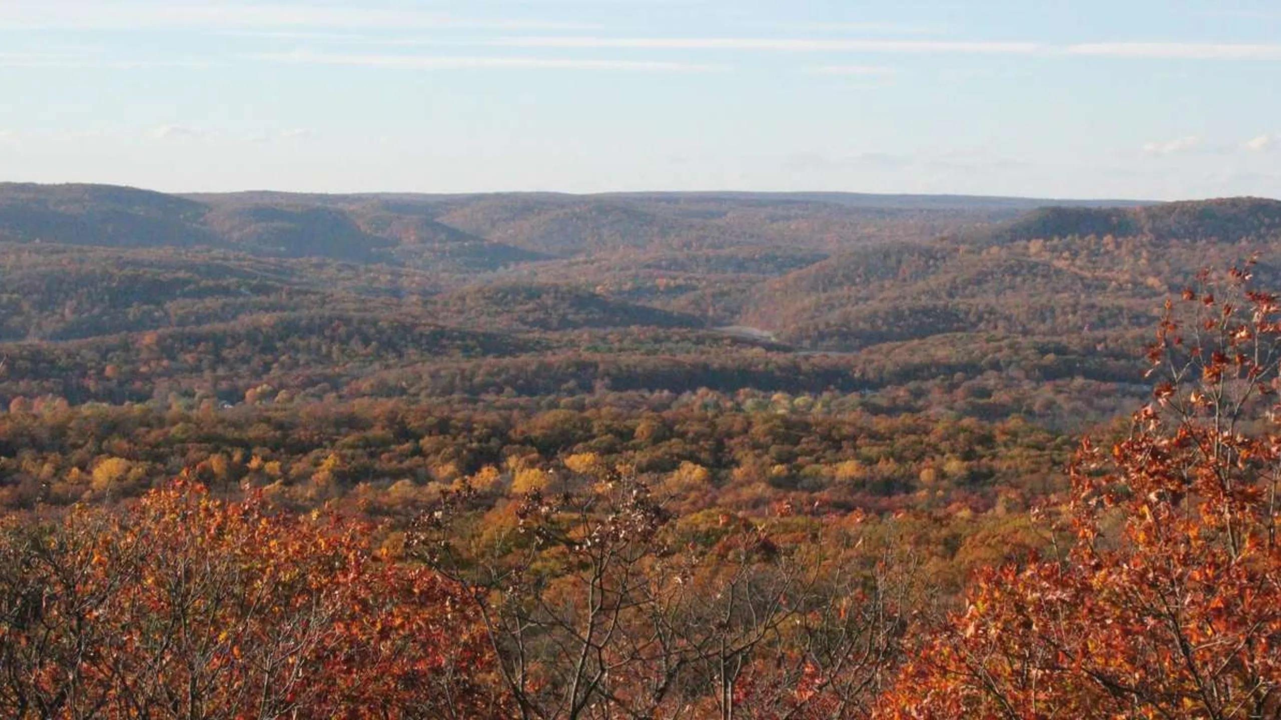 Mayapple Trail Runs