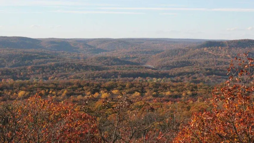 Mayapple Trail Runs