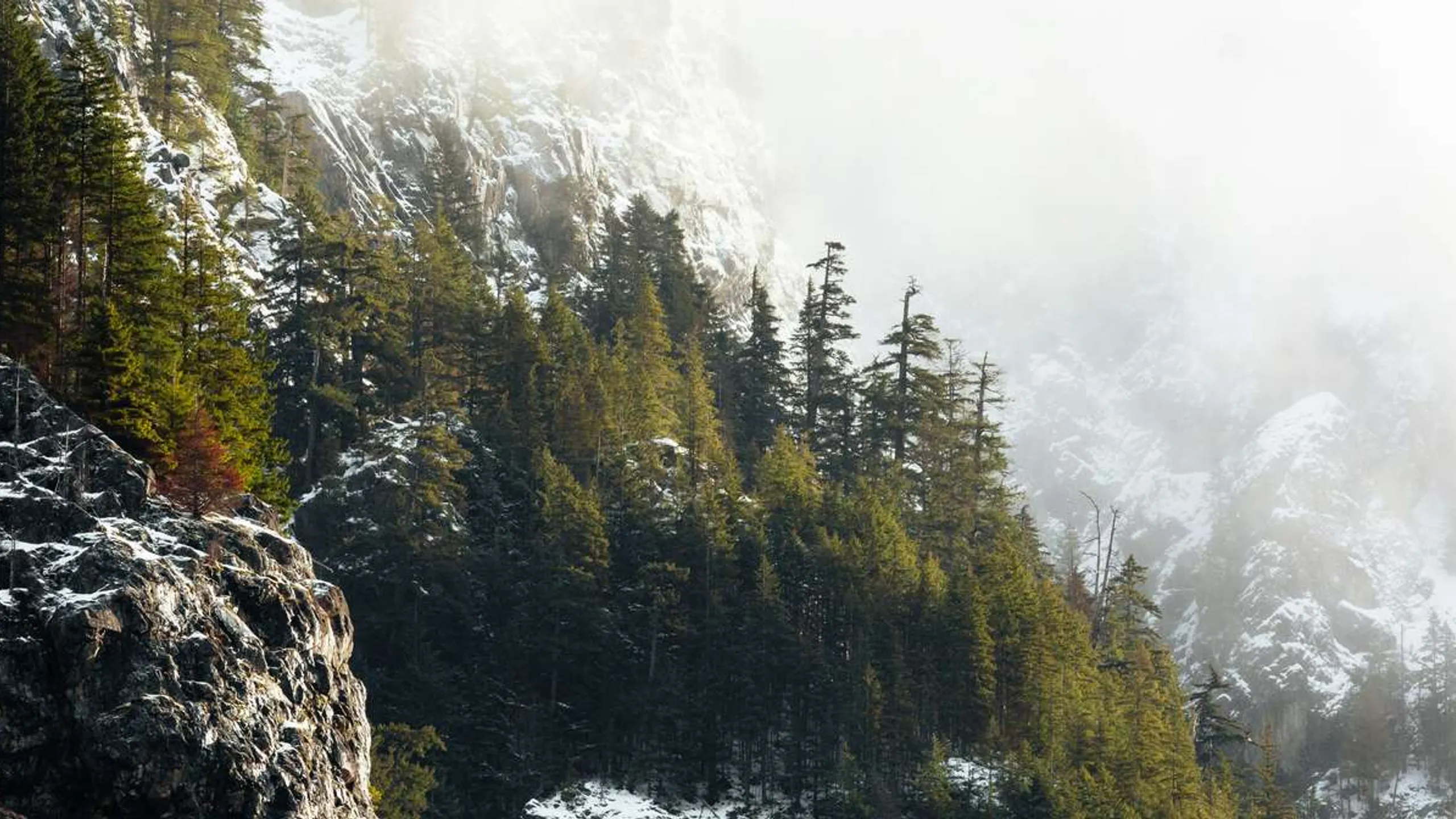 Jack & Jill's Downhill Marathon & Half Marathon