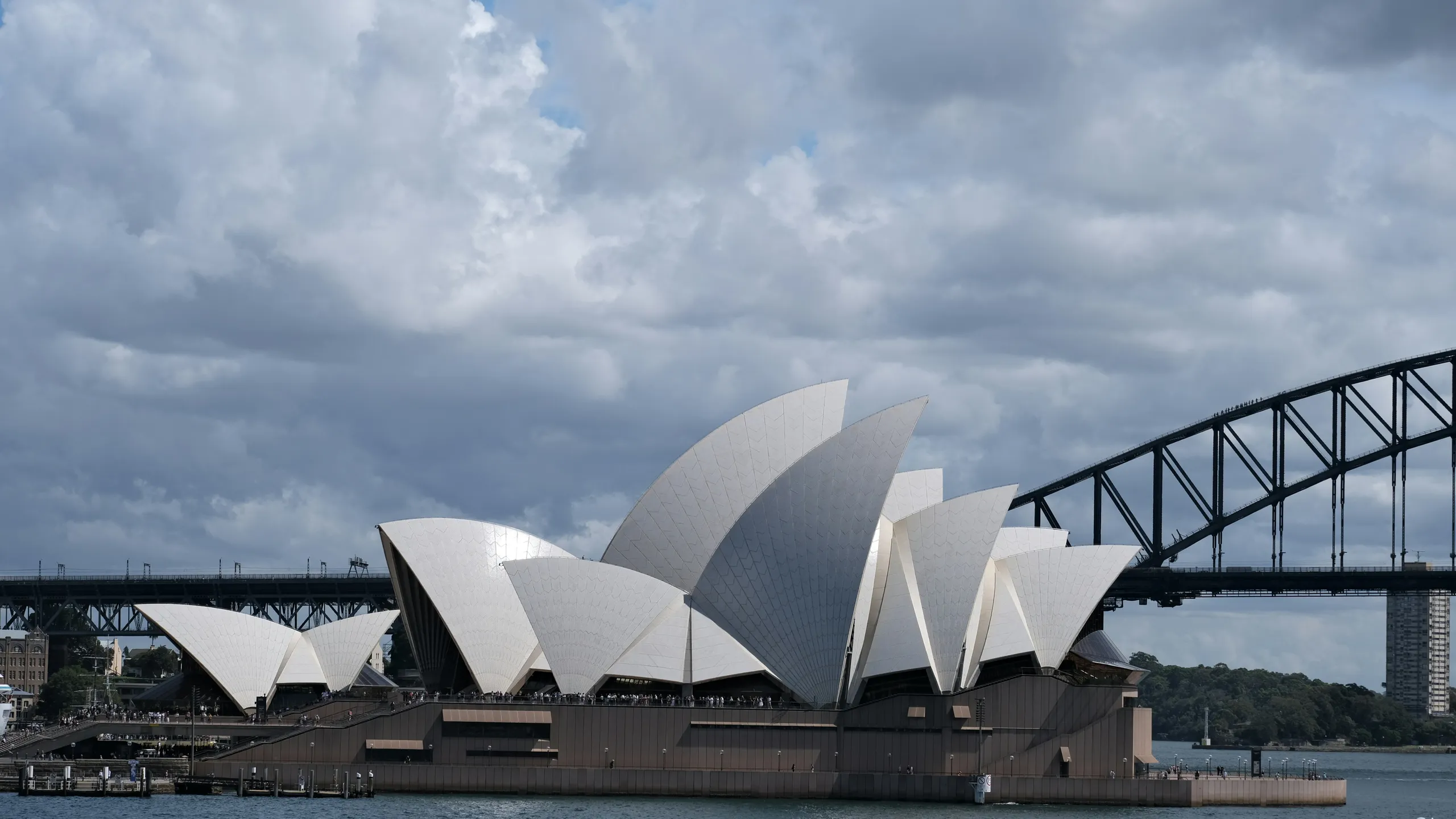 Billbergia Bennelong Bridge Run