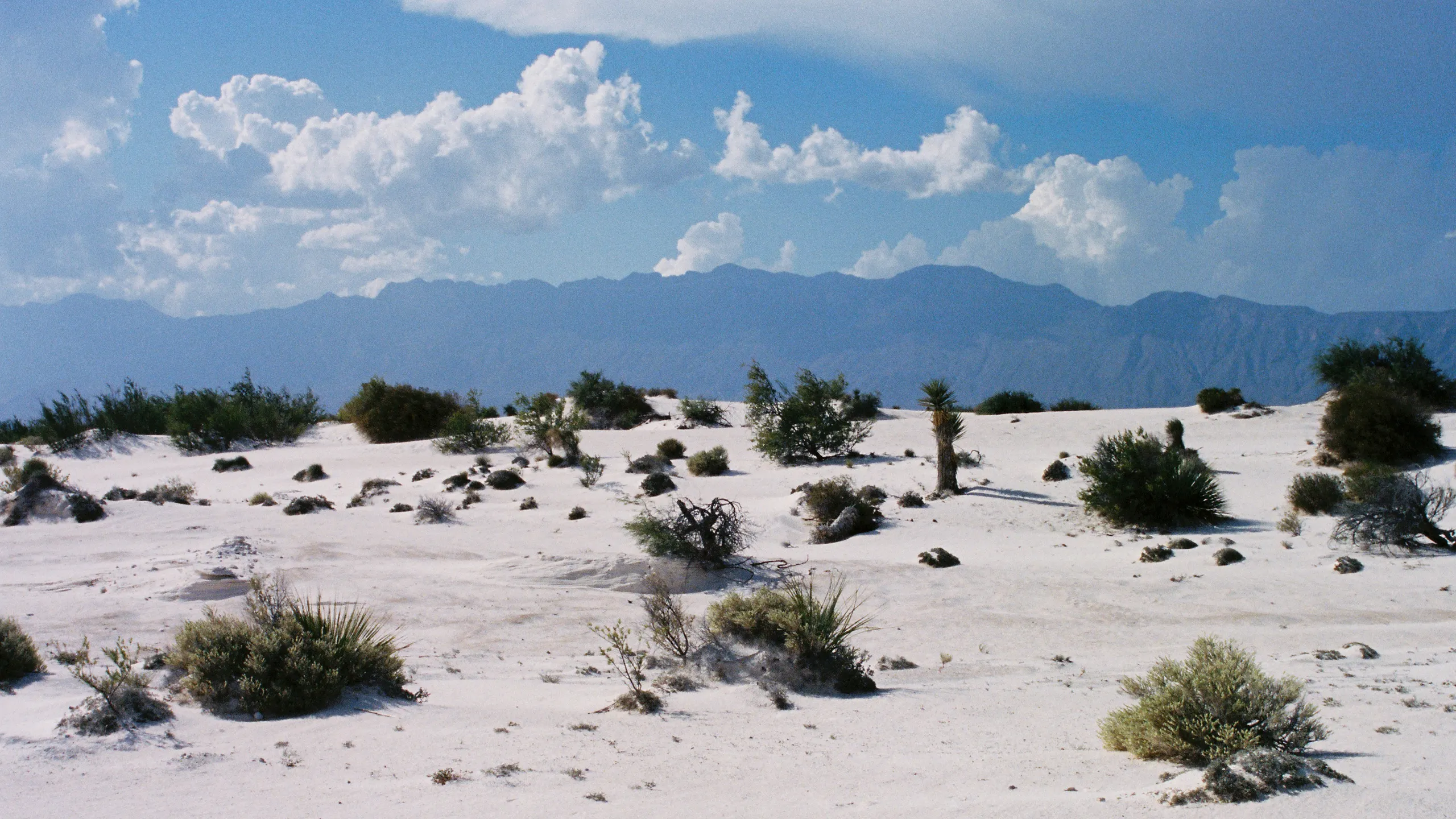 21k Contra el Cancer & 7k Galerias-CAR 871