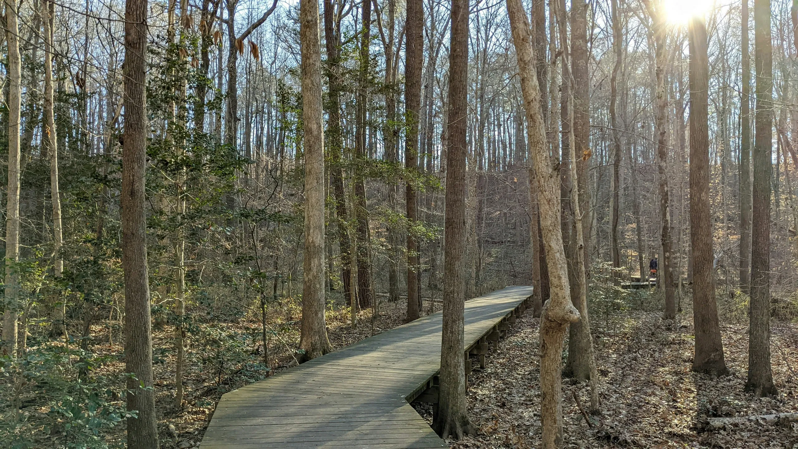 Tobacco Road Marathon and Half Marathon 2027