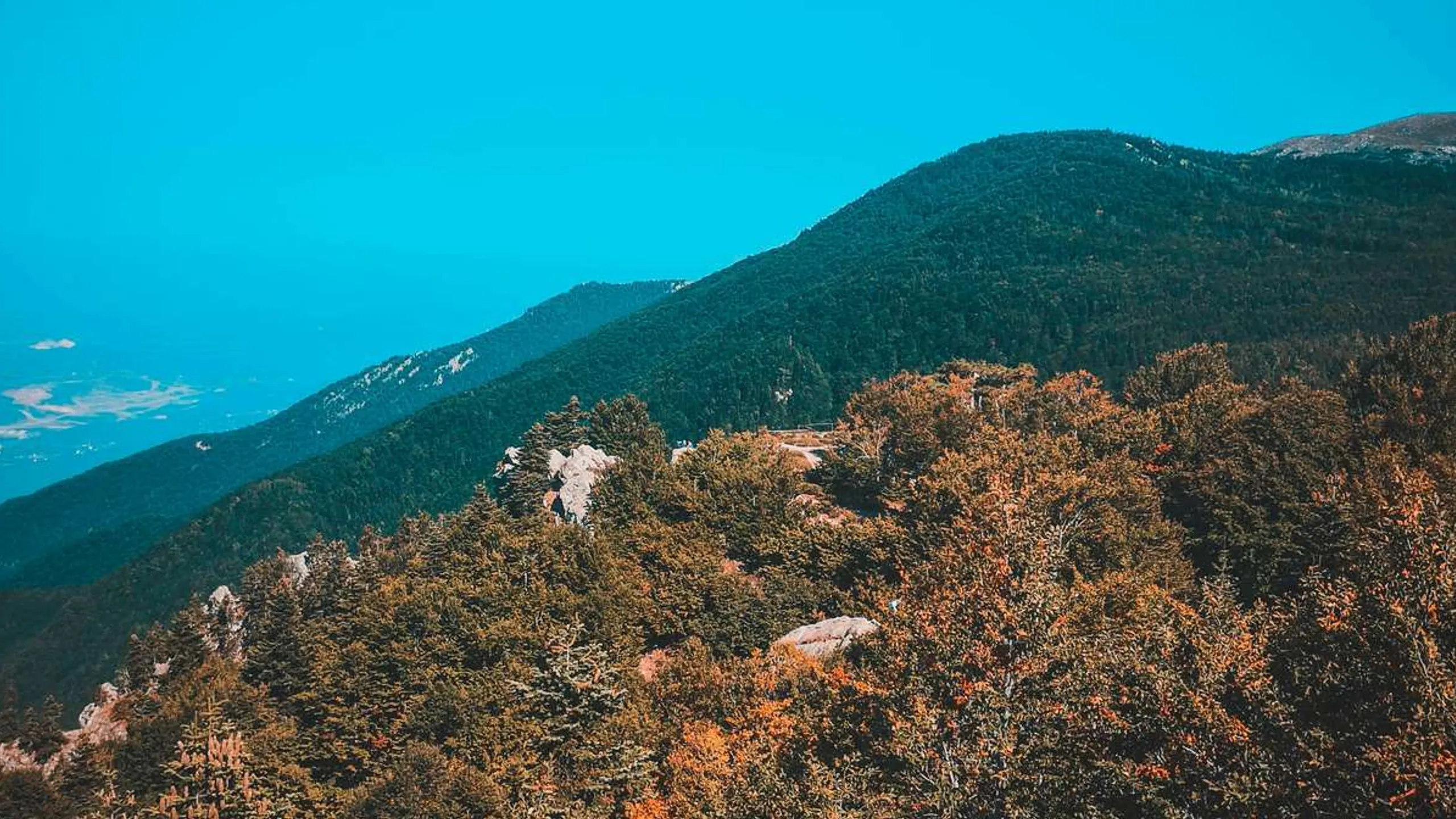Uludağ Premium Ultra Trail