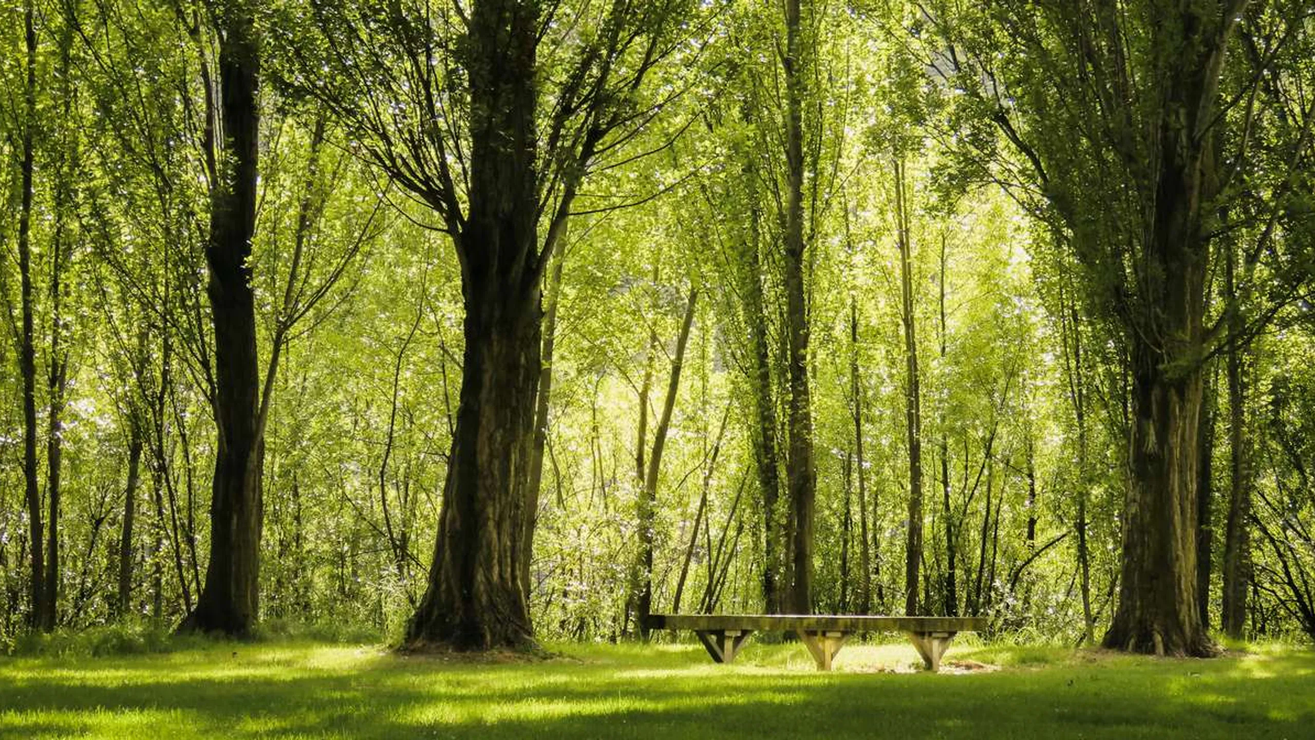 Motatapu Rab Ultra Run