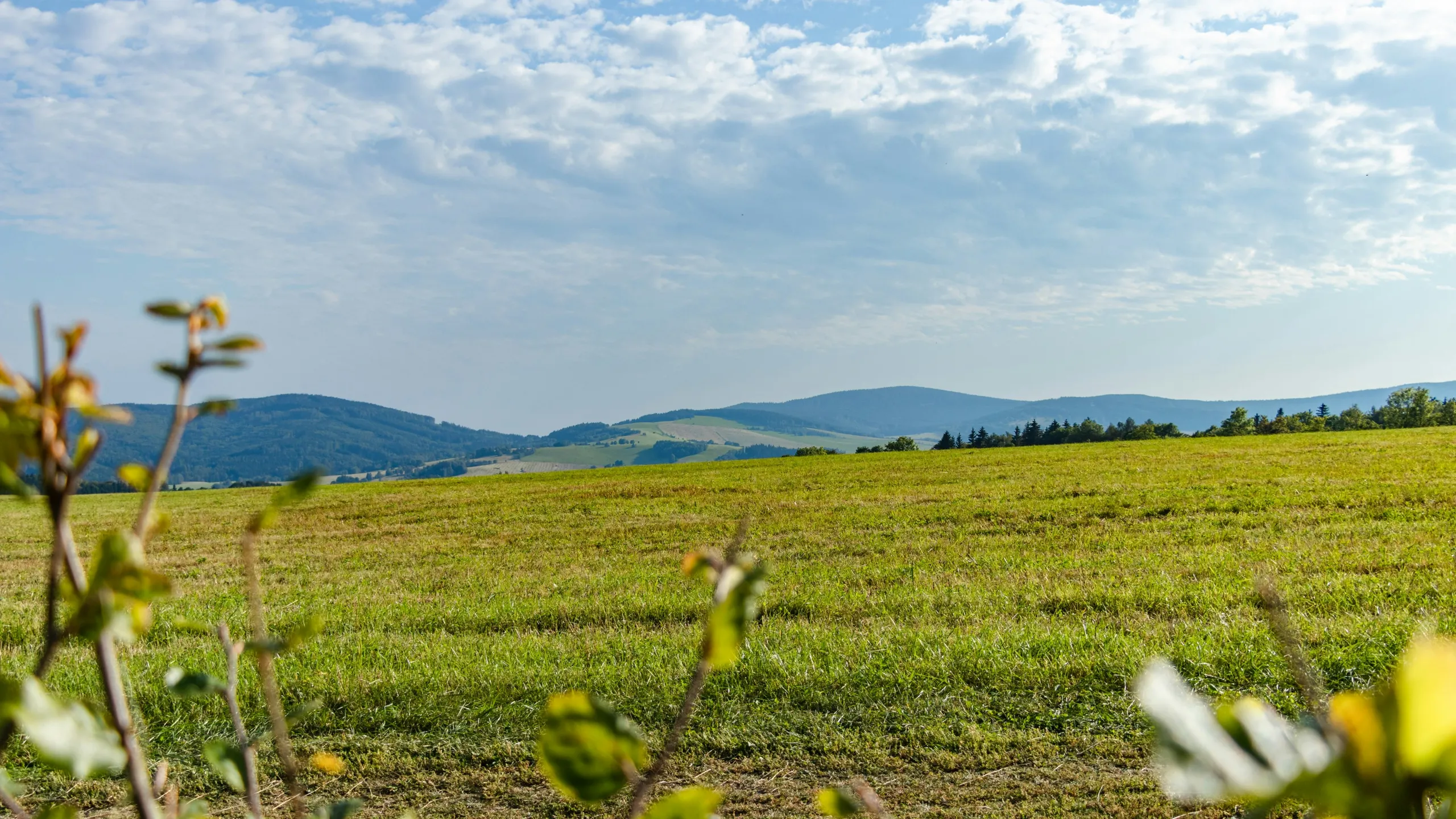 Salomon Jesenický Marathon
