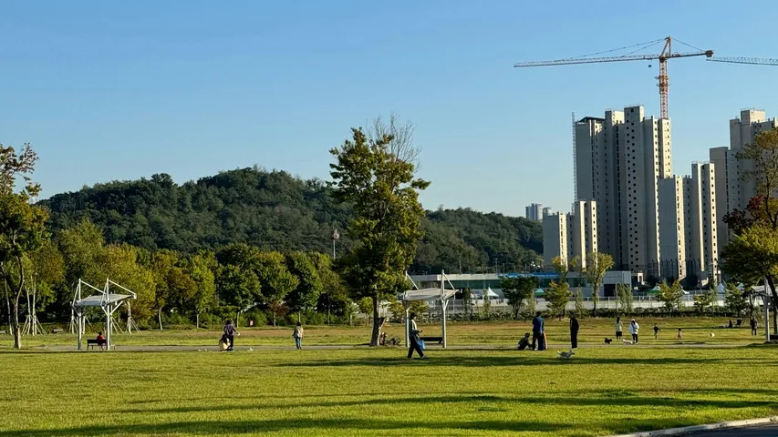 Spirit to Cure Run Brisbane