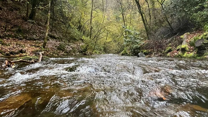 Granite Way 10 & 20 Miles