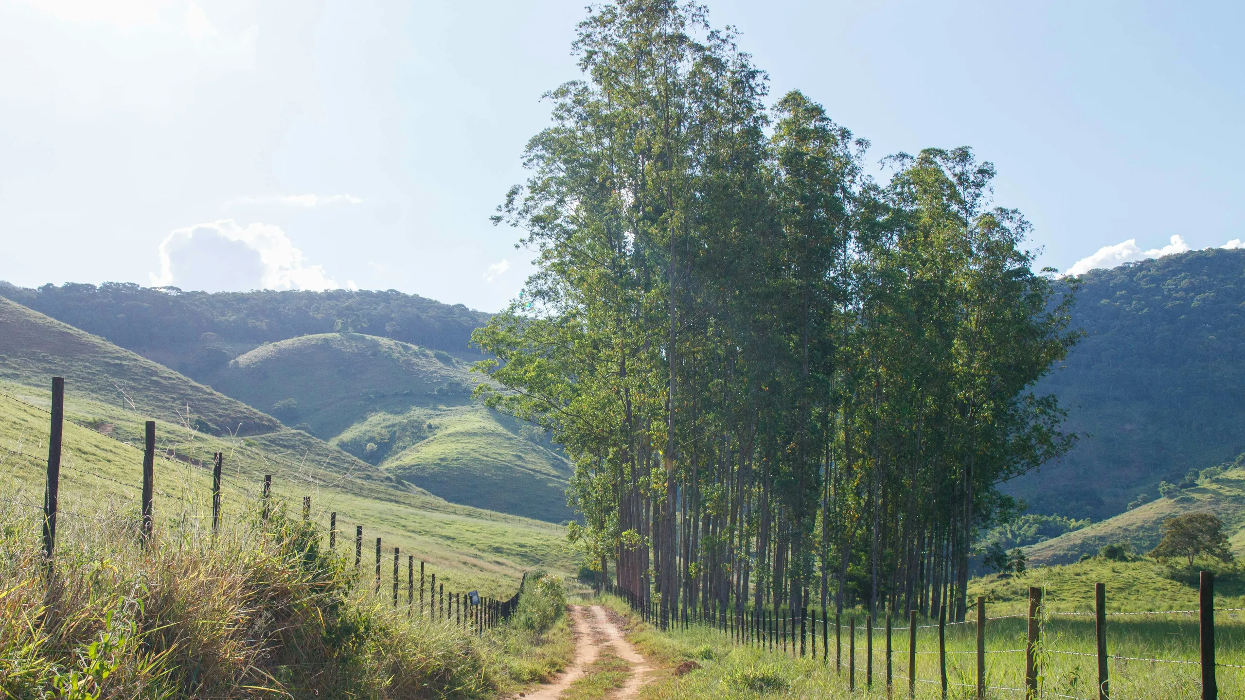 Treinão Correr e Vida - 5ª Etapa Biritiba Mirim