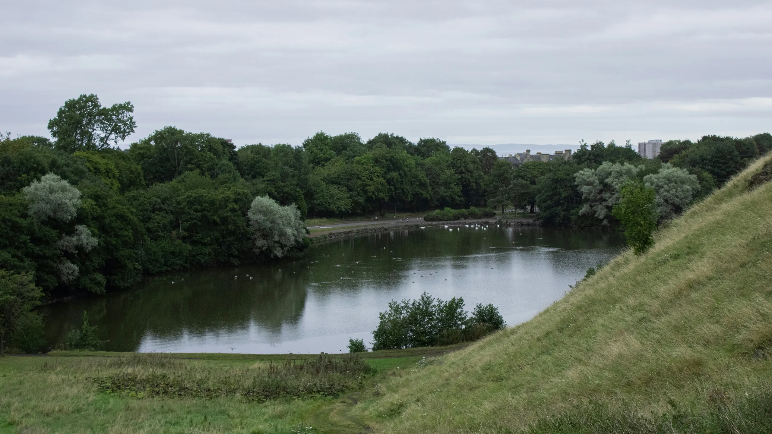 The 1.5k, 5k, 10k and Half Marathon Edinburgh MoRun