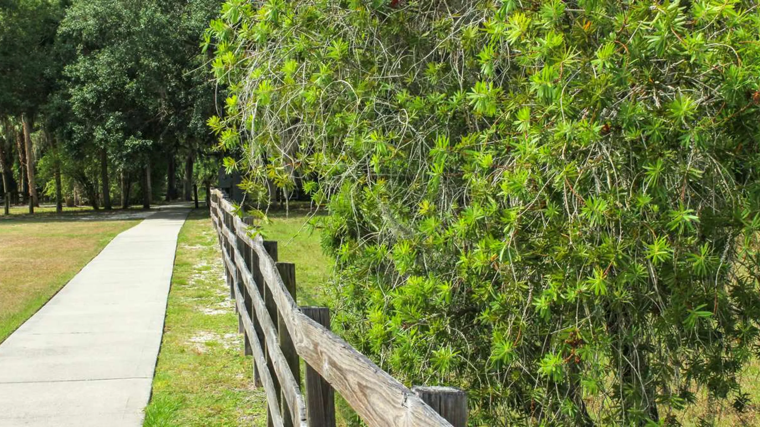Pirate 1M, 5K, 10K, 15K & Half Marathon – DeBary