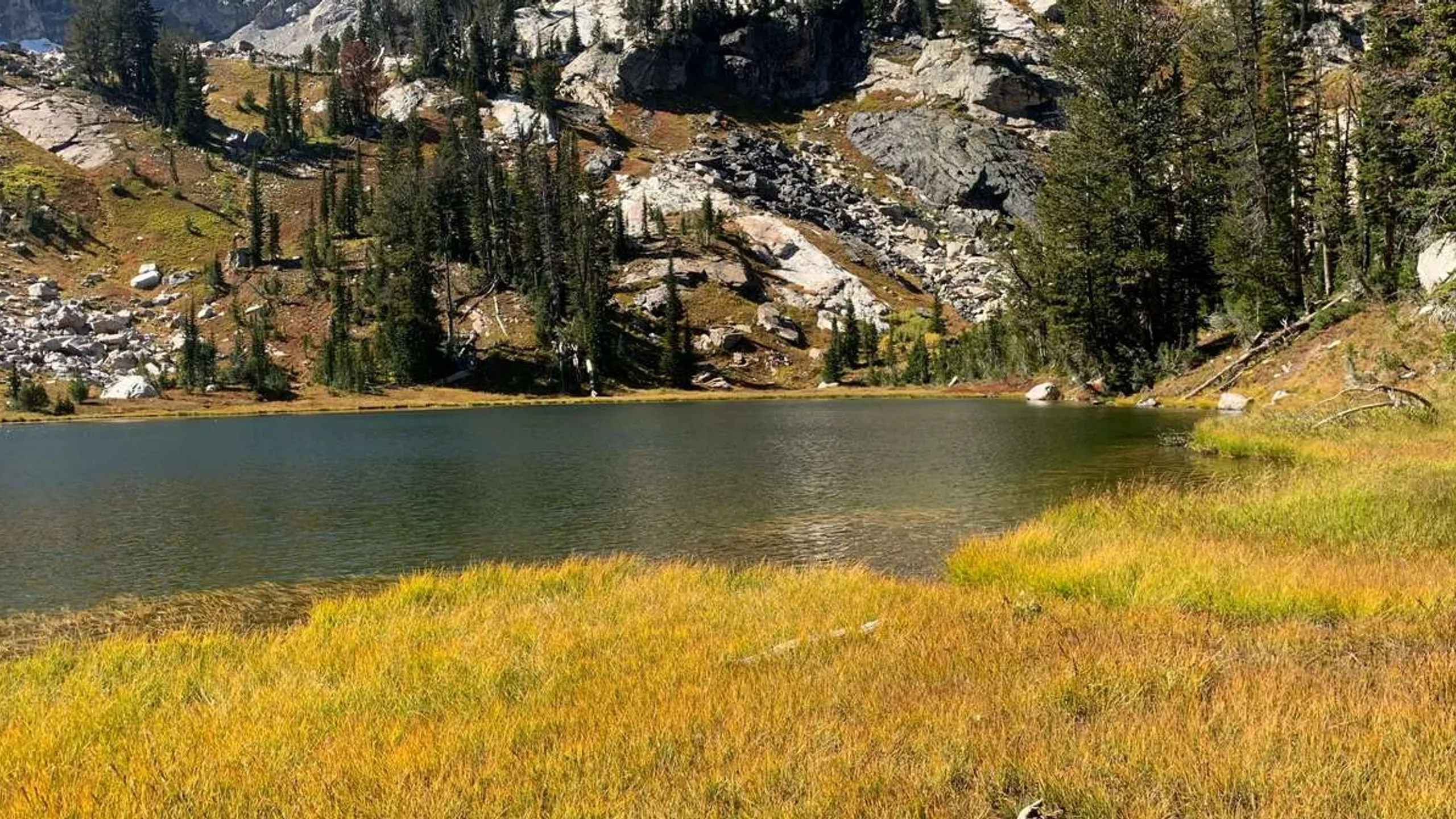 Jackson Hole Half Marathon