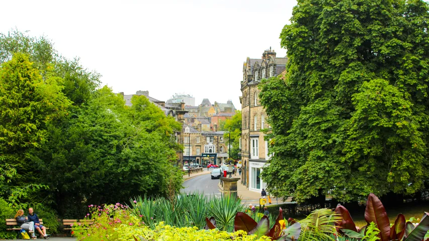 Harmony Energy Run Harrogate 10k