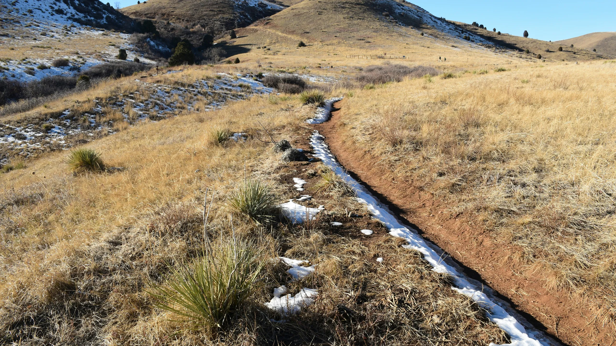 All-Out Kooky-Spooky