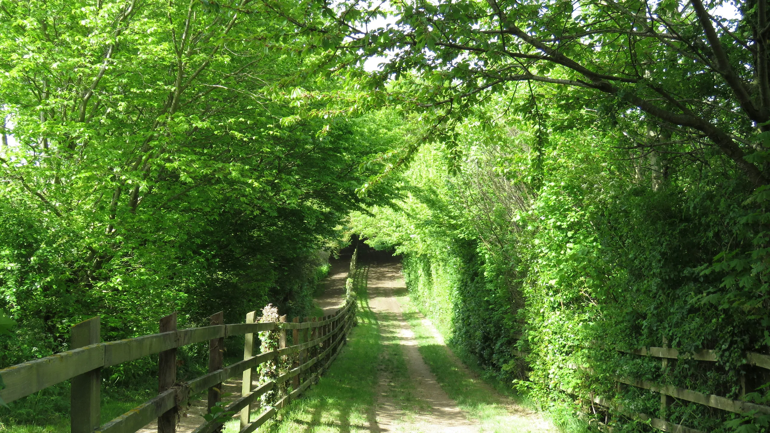 Chatham Maritime 10K