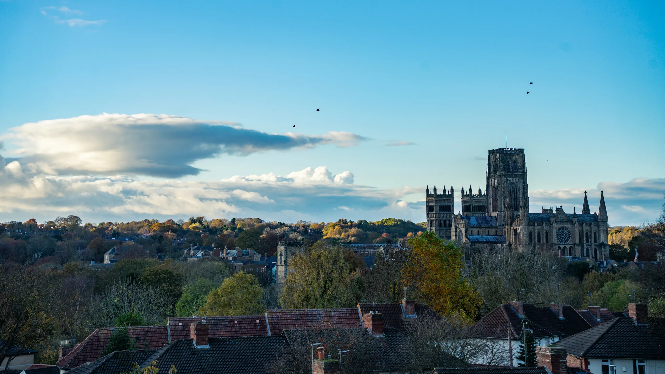 Durham City Run Festival
