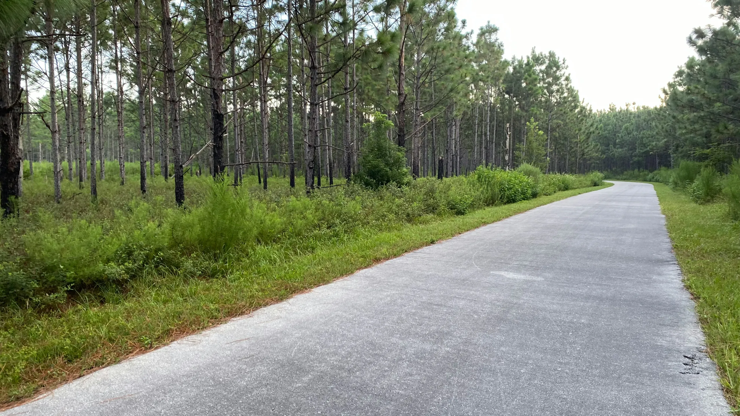 Holiday 5K, 10K, Half Marathon, and Marathon at Baseline Trailhead Park