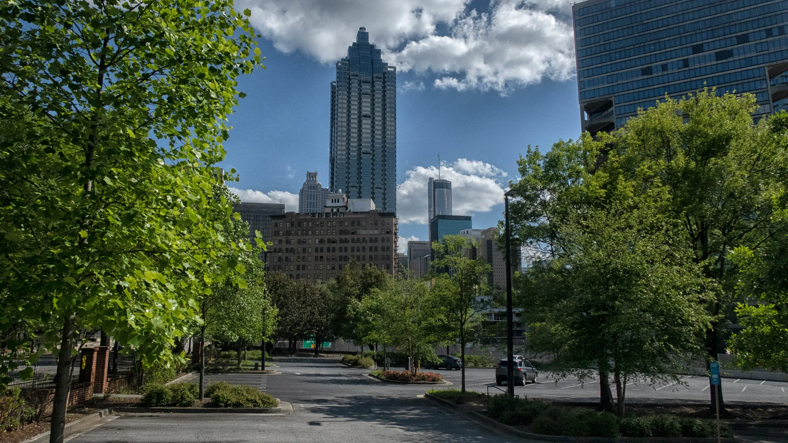 Polar Opposite Peachtree Road Race
