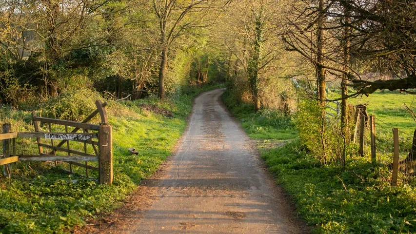 Mid Sussex Marathon Weekend
