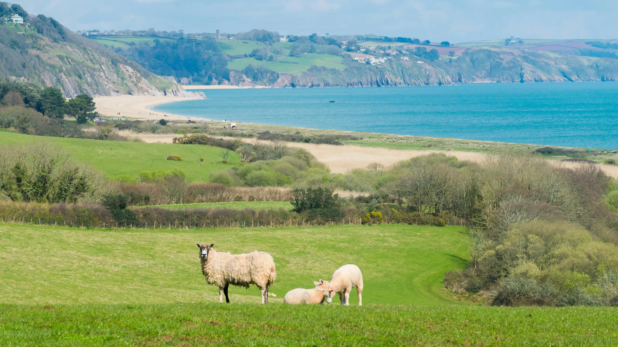 Endurancelife South Devon